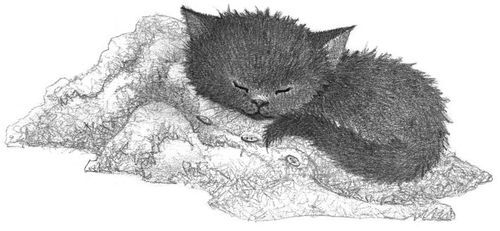 Котёнок Арли, или Пушистый пожарный - i_002.jpg