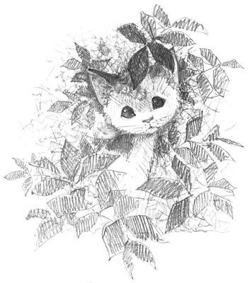 Котёнок Заплатка, или Обретённый дом - i_001.jpg