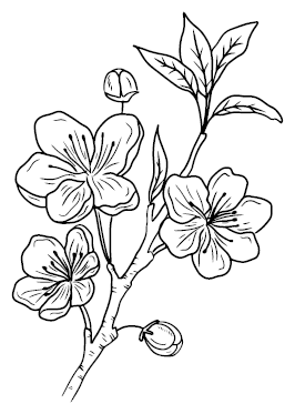 Вечеринка в саду - i_005.png