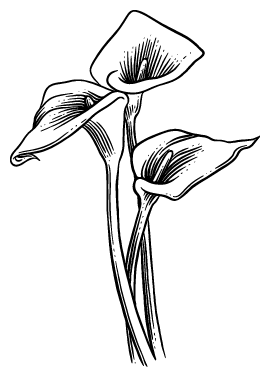 Вечеринка в саду - i_006.png