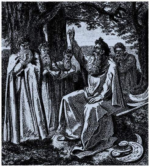 Легенды и сказания кельтов - i_011.jpg