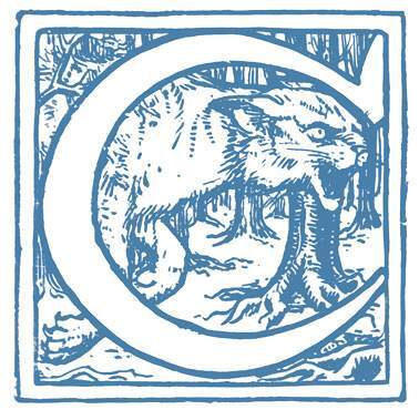 Легенды и сказания кельтов - i_017.jpg