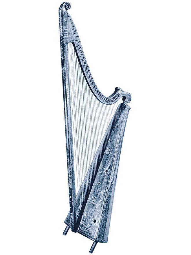 Легенды и сказания кельтов - i_038.jpg