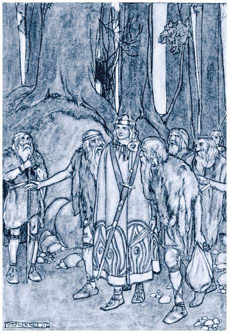 Легенды и сказания кельтов - i_039.jpg