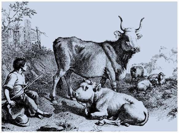 Легенды и сказания кельтов - i_043.jpg