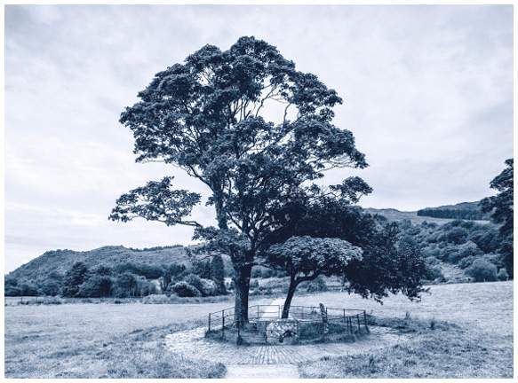 Легенды и сказания кельтов - i_046.jpg