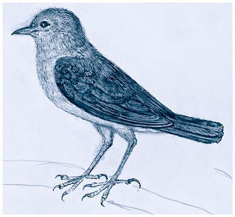 Легенды и сказания кельтов - i_051.jpg