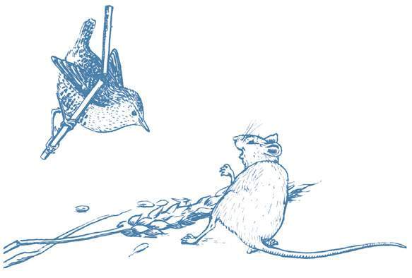 Легенды и сказания кельтов - i_052.jpg