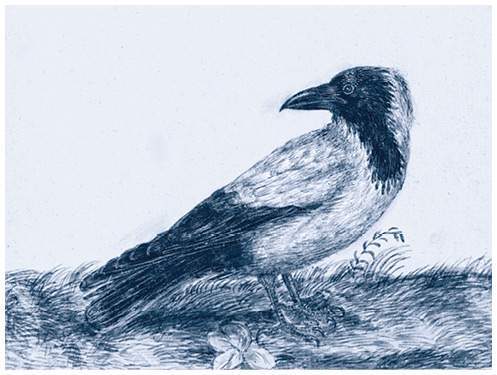 Легенды и сказания кельтов - i_054.jpg