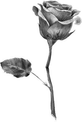 Порочная невинность - i_001.jpg