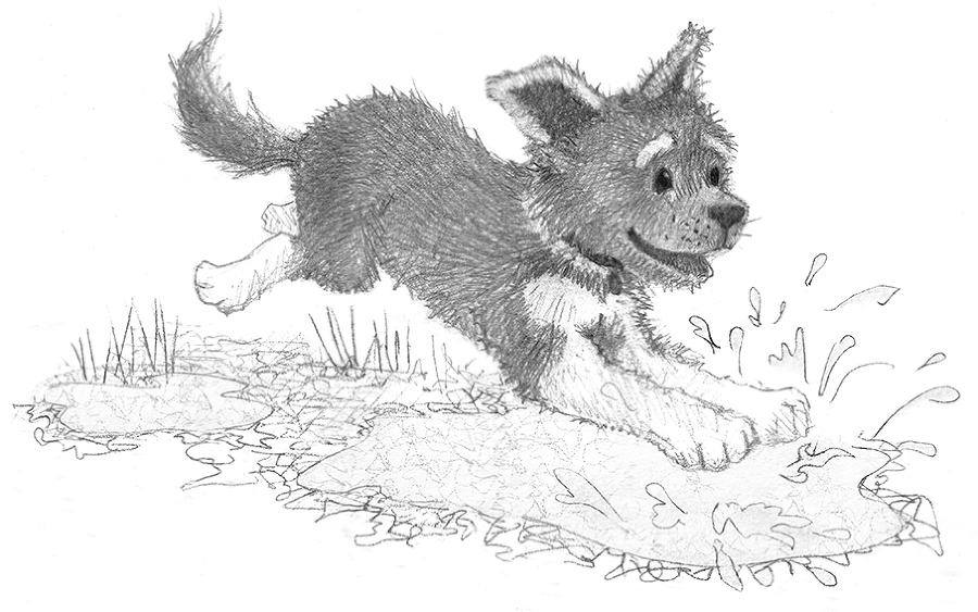 Щенок Трэвис, или Маленький спасатель - i_001.jpg