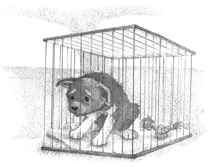 Щенок Трэвис, или Маленький спасатель - i_004.jpg