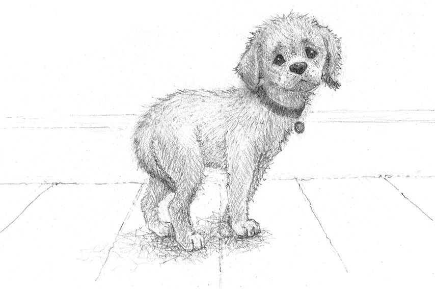 Щенок Мило, или Счастье на поводке - i_001.jpg