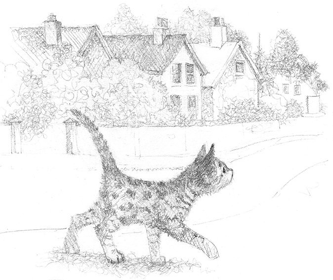 Котёнок Лучик, или Тоска по дому - i_001.jpg