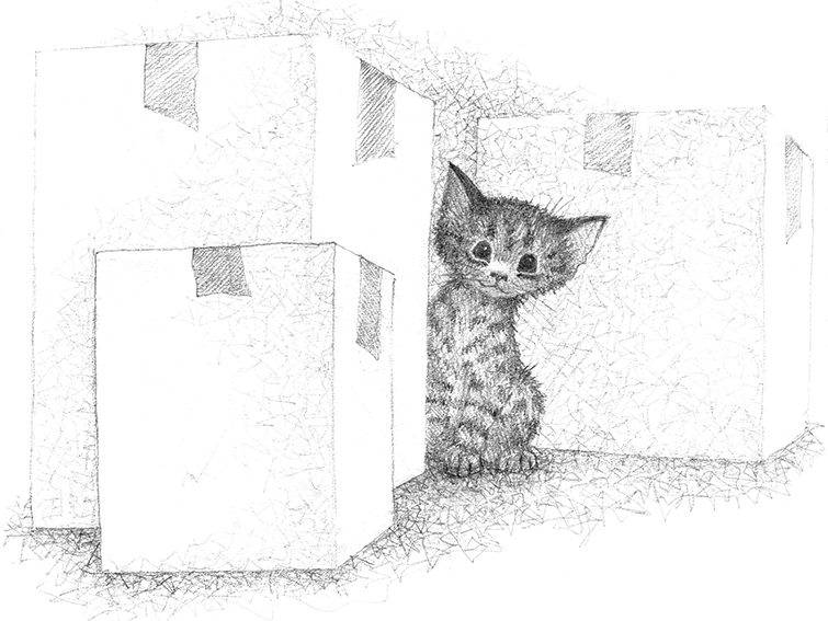 Котёнок Лучик, или Тоска по дому - i_002.jpg