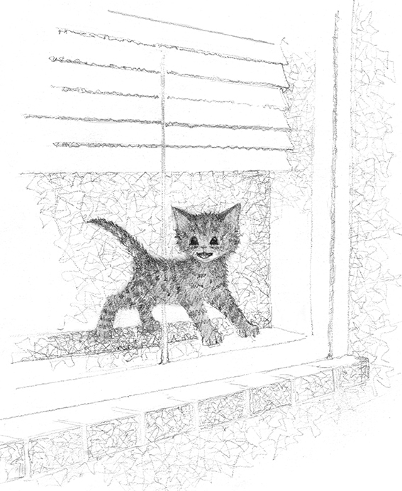 Котёнок Лучик, или Тоска по дому - i_003.jpg