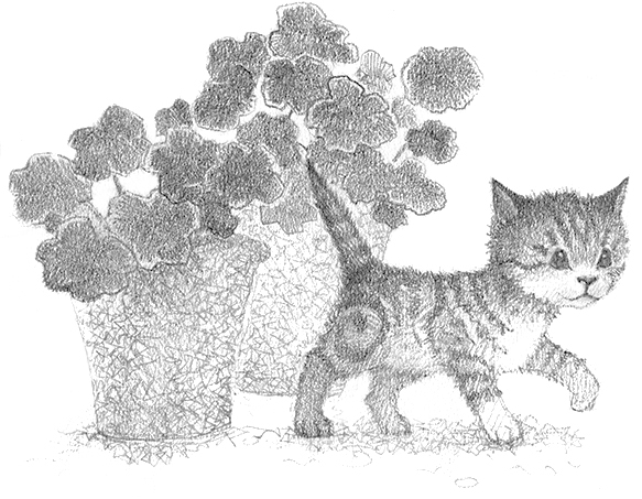 Котёнок Билли, или Хрупкие лапки - i_001.jpg