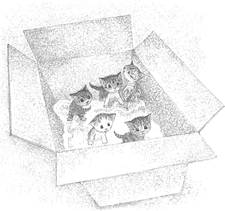 Котёнок Билли, или Хрупкие лапки - i_008.jpg