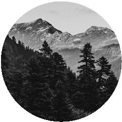 Дебри - i_001.jpg