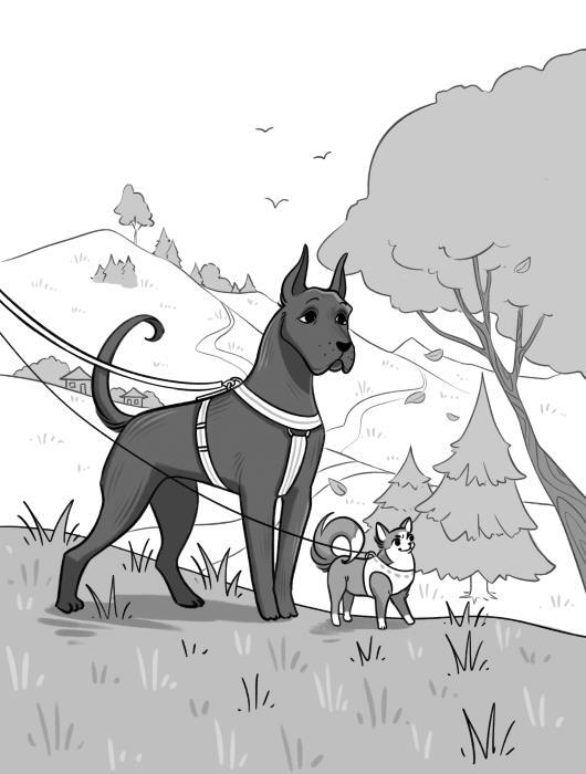 Тебе ЛАЙк. 60 советов и одна собака - i_002.jpg