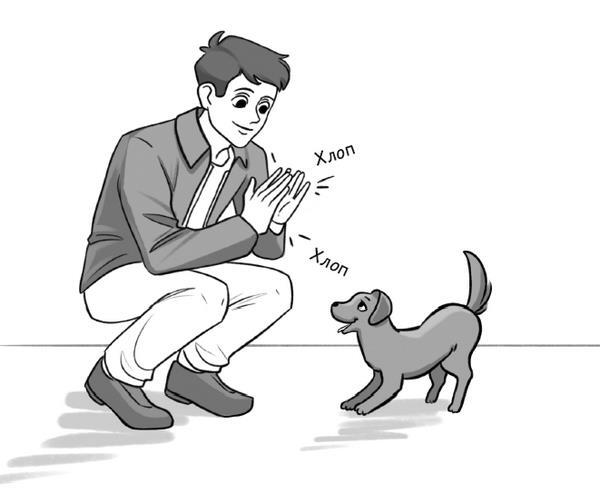 Тебе ЛАЙк. 60 советов и одна собака - i_005.jpg