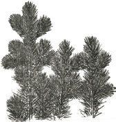 Мир в капле дождя. Осень. Зима. Хайку на все времена - i_004.jpg