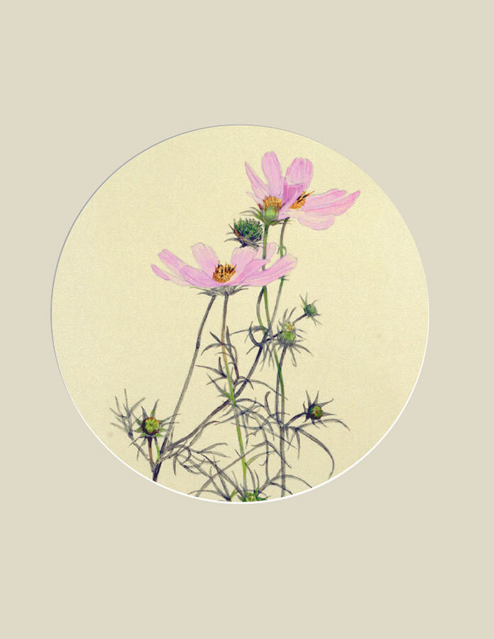 Мир в капле дождя. Осень. Зима. Хайку на все времена - i_006.jpg