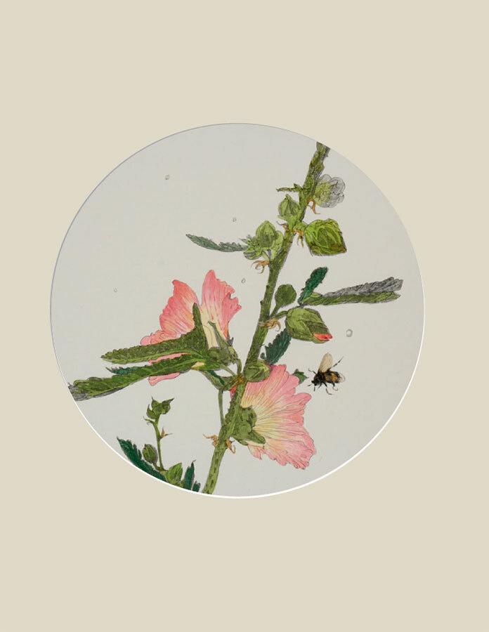 Мир в капле дождя. Осень. Зима. Хайку на все времена - i_011.jpg