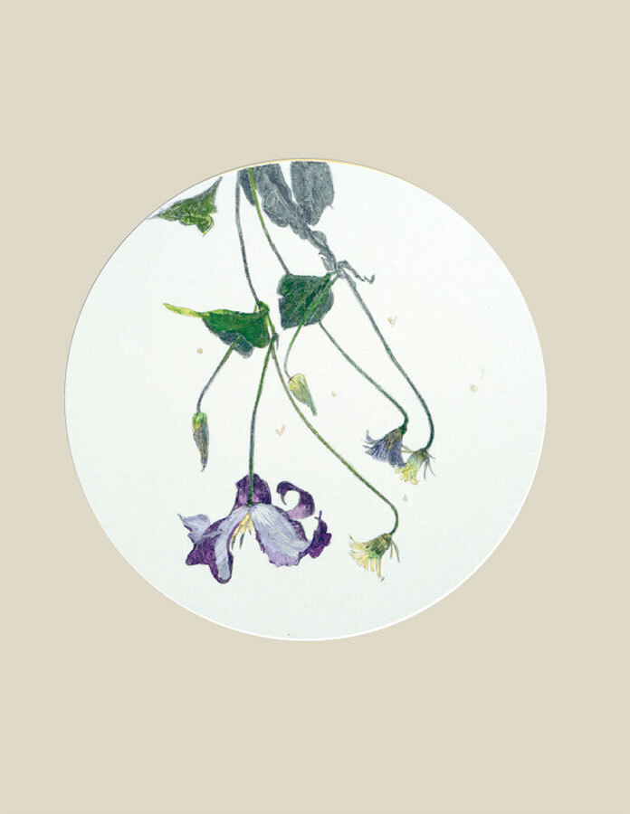 Мир в капле дождя. Осень. Зима. Хайку на все времена - i_016.jpg