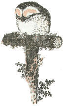 Мир в капле дождя. Осень. Зима. Хайку на все времена - i_018.jpg