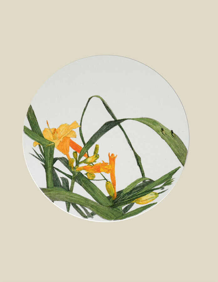 Мир в капле дождя. Осень. Зима. Хайку на все времена - i_019.jpg