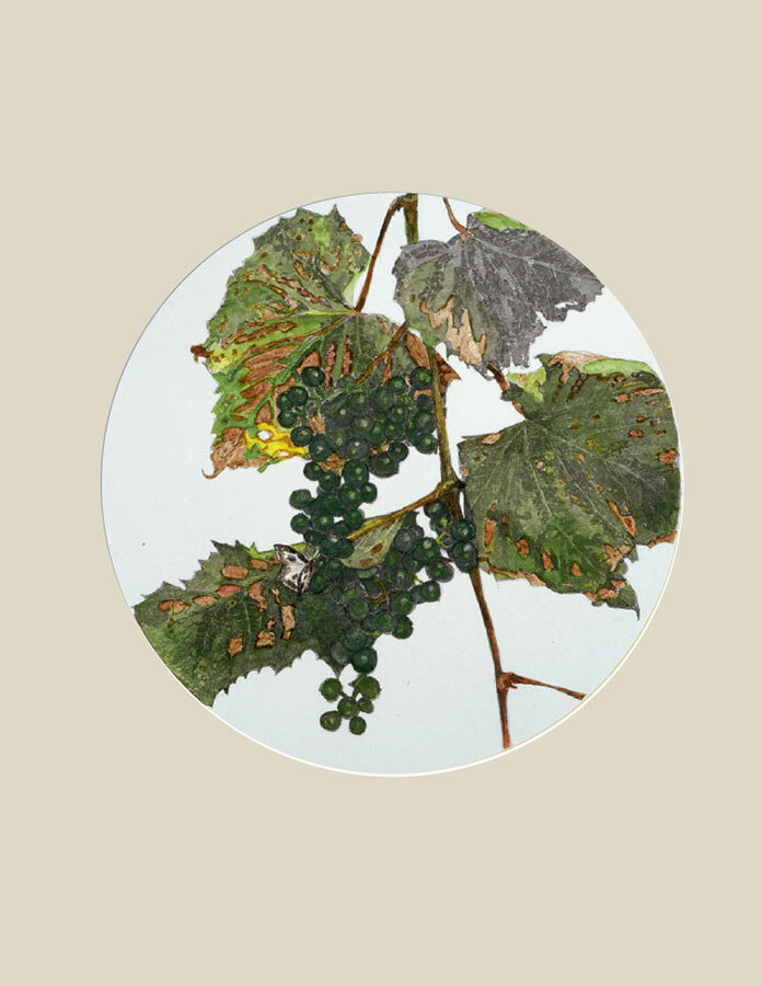 Мир в капле дождя. Осень. Зима. Хайку на все времена - i_022.jpg