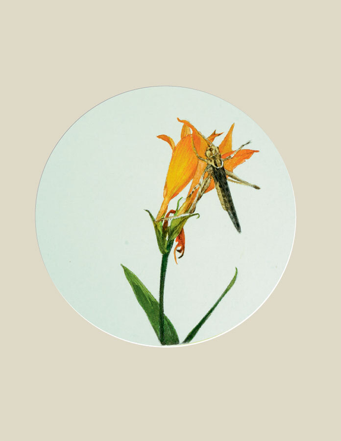 Мир в капле дождя. Осень. Зима. Хайку на все времена - i_026.jpg