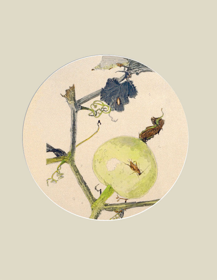 Мир в капле дождя. Осень. Зима. Хайку на все времена - i_034.jpg