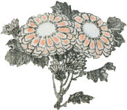 Мир в капле дождя. Осень. Зима. Хайку на все времена - i_035.jpg