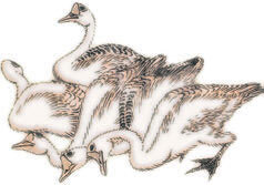 Мир в капле дождя. Осень. Зима. Хайку на все времена - i_040.jpg