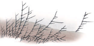 Мир в капле дождя. Осень. Зима. Хайку на все времена - i_042.jpg