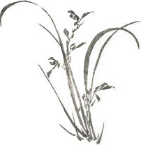 Мир в капле дождя. Осень. Зима. Хайку на все времена - i_043.jpg