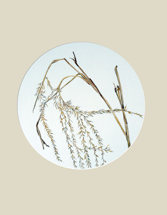 Мир в капле дождя. Осень. Зима. Хайку на все времена - i_050.jpg