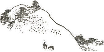 Мир в капле дождя. Осень. Зима. Хайку на все времена - i_051.jpg