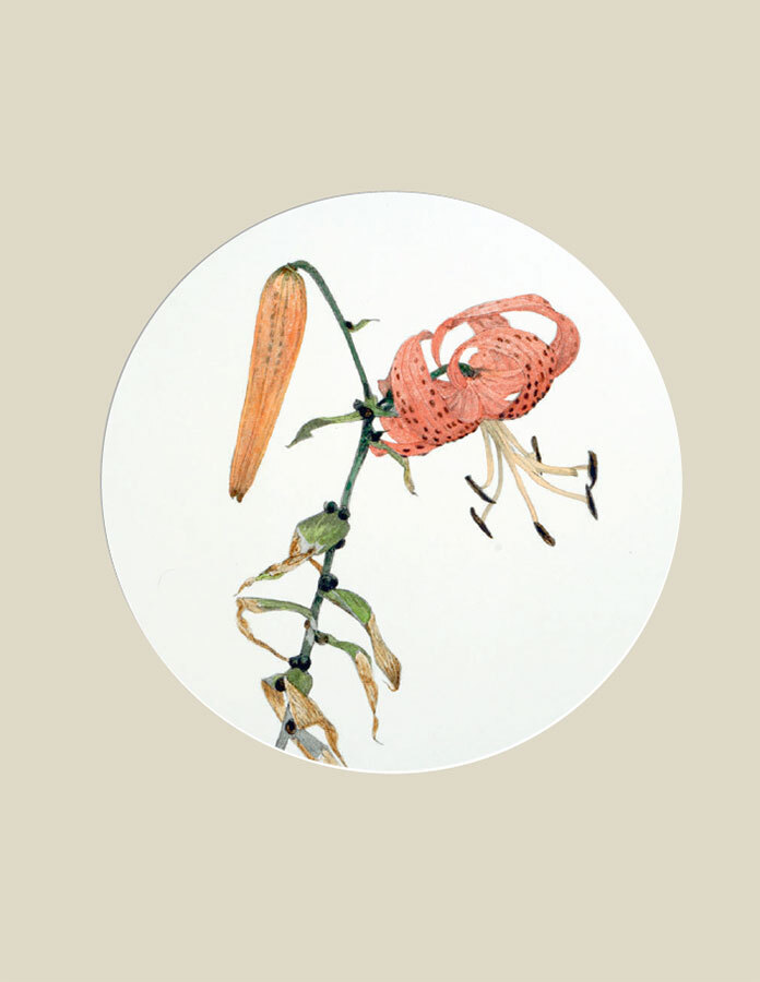 Мир в капле дождя. Осень. Зима. Хайку на все времена - i_059.jpg