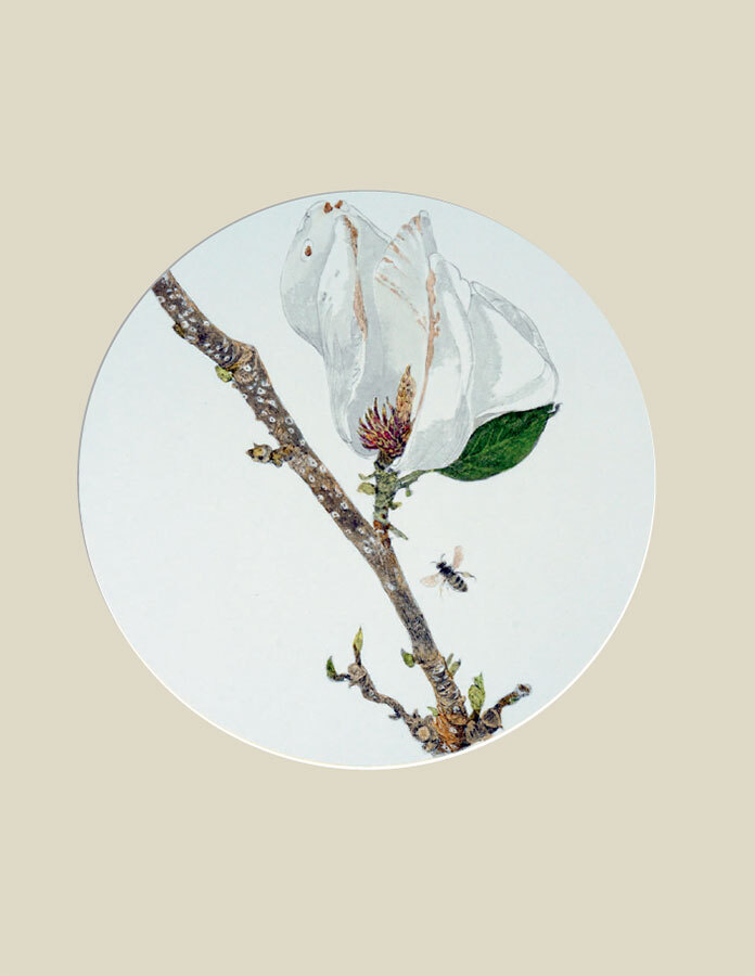 Мир в капле дождя. Осень. Зима. Хайку на все времена - i_075.jpg