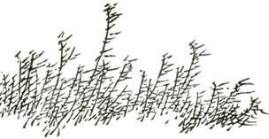 Мир в капле дождя. Осень. Зима. Хайку на все времена - i_086.jpg