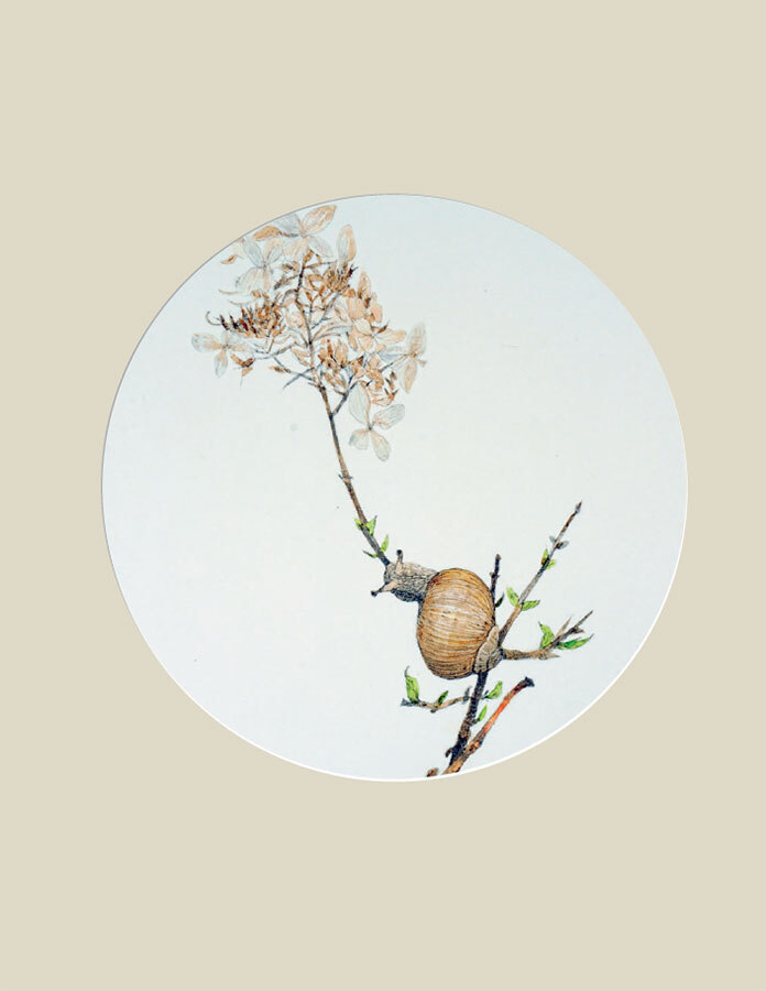 Мир в капле дождя. Осень. Зима. Хайку на все времена - i_088.jpg