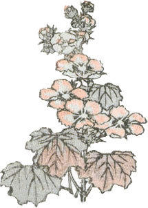 Мир в капле дождя. Осень. Зима. Хайку на все времена - i_089.jpg