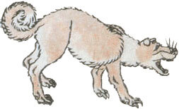 Мир в капле дождя. Осень. Зима. Хайку на все времена - i_091.jpg