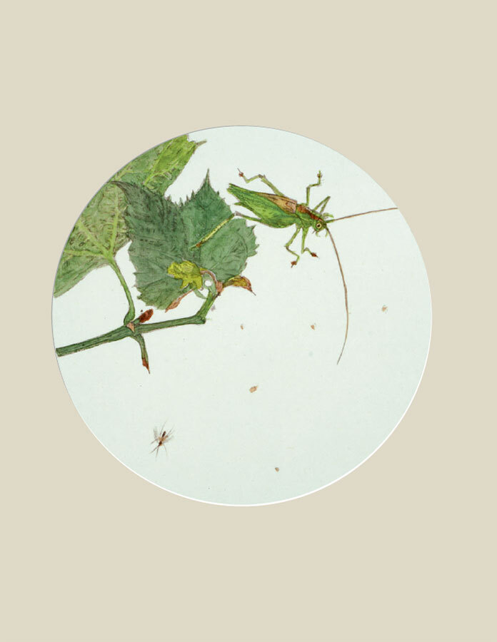 Мир в капле дождя. Осень. Зима. Хайку на все времена - i_101.jpg