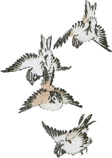 Мир в капле дождя. Осень. Зима. Хайку на все времена - i_109.jpg