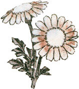 Мир в капле дождя. Осень. Зима. Хайку на все времена - i_110.jpg