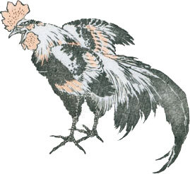 Мир в капле дождя. Осень. Зима. Хайку на все времена - i_113.jpg